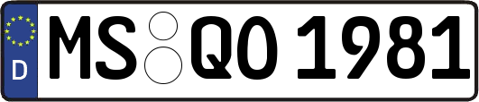 MS-QO1981