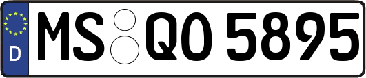 MS-QO5895