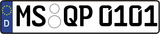 MS-QP0101