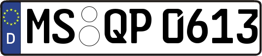 MS-QP0613