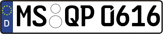 MS-QP0616