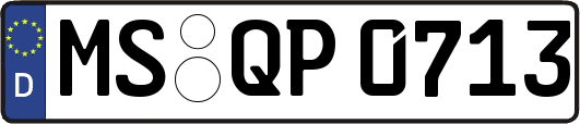 MS-QP0713