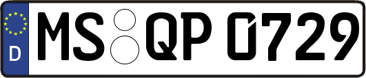 MS-QP0729