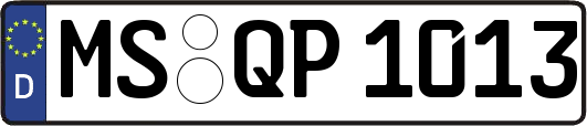 MS-QP1013