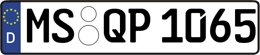 MS-QP1065