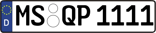 MS-QP1111