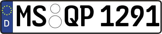 MS-QP1291