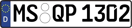 MS-QP1302
