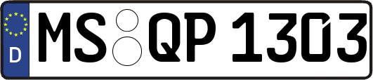 MS-QP1303