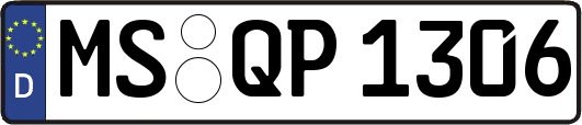 MS-QP1306