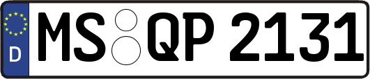 MS-QP2131