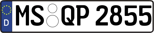 MS-QP2855
