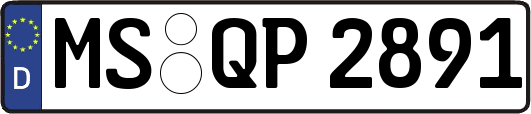 MS-QP2891