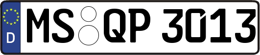 MS-QP3013