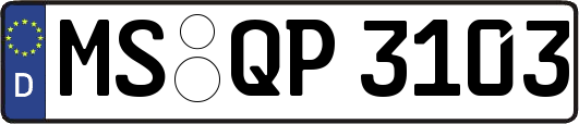 MS-QP3103