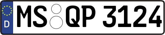 MS-QP3124