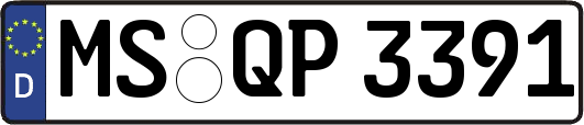 MS-QP3391
