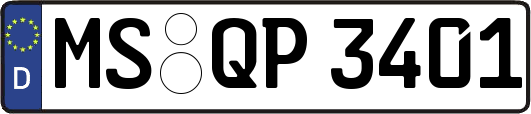 MS-QP3401