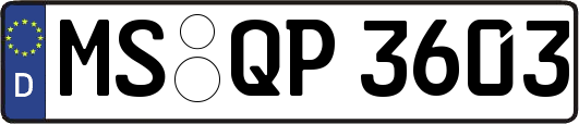 MS-QP3603