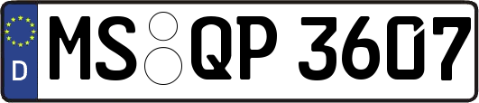 MS-QP3607