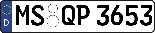 MS-QP3653