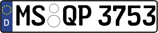 MS-QP3753