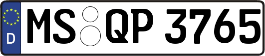 MS-QP3765
