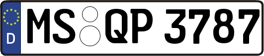 MS-QP3787
