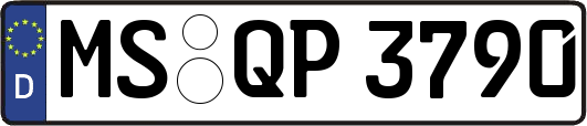 MS-QP3790