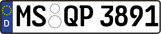 MS-QP3891