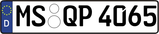 MS-QP4065