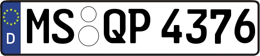 MS-QP4376