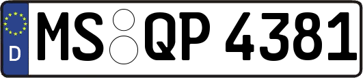MS-QP4381