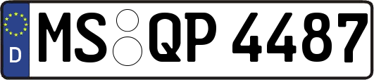 MS-QP4487