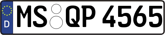 MS-QP4565