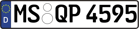 MS-QP4595