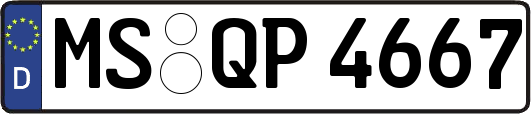 MS-QP4667