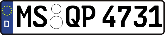 MS-QP4731