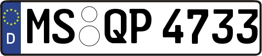MS-QP4733