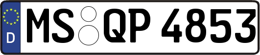 MS-QP4853