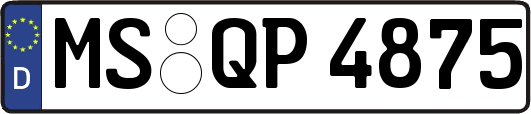 MS-QP4875