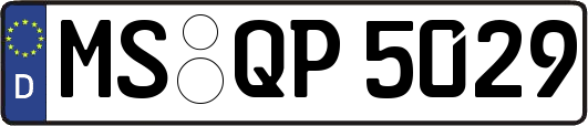 MS-QP5029