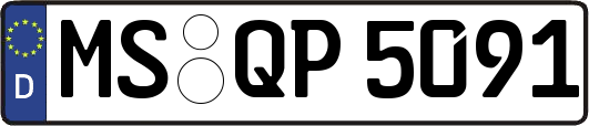 MS-QP5091