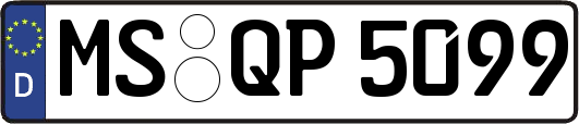 MS-QP5099