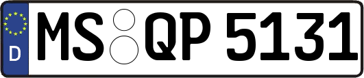 MS-QP5131