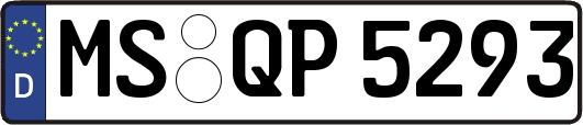 MS-QP5293