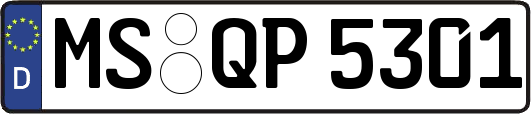 MS-QP5301