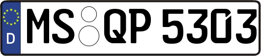 MS-QP5303