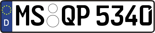 MS-QP5340