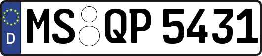 MS-QP5431